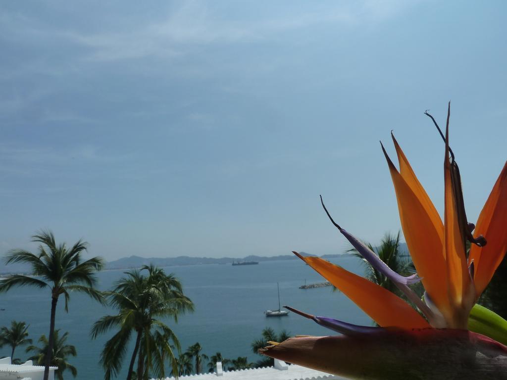 Dolphin Cove Inn Manzanillo Exterior foto