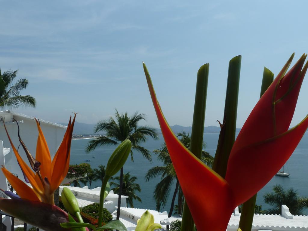 Dolphin Cove Inn Manzanillo Exterior foto