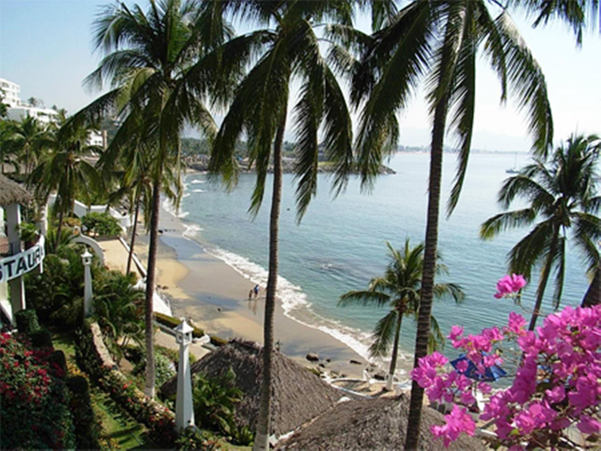 Dolphin Cove Inn Manzanillo Exterior foto