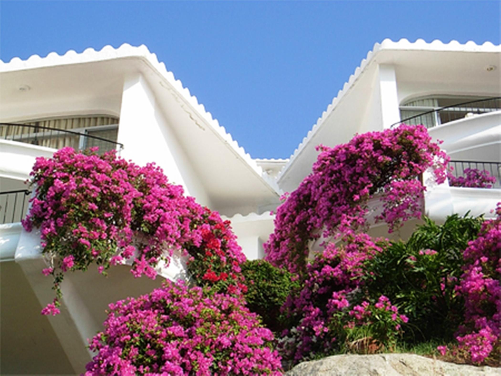 Dolphin Cove Inn Manzanillo Exterior foto