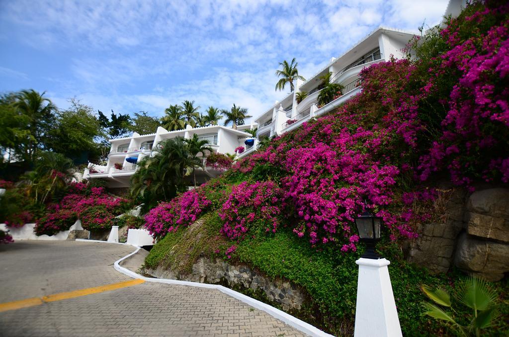 Dolphin Cove Inn Manzanillo Exterior foto